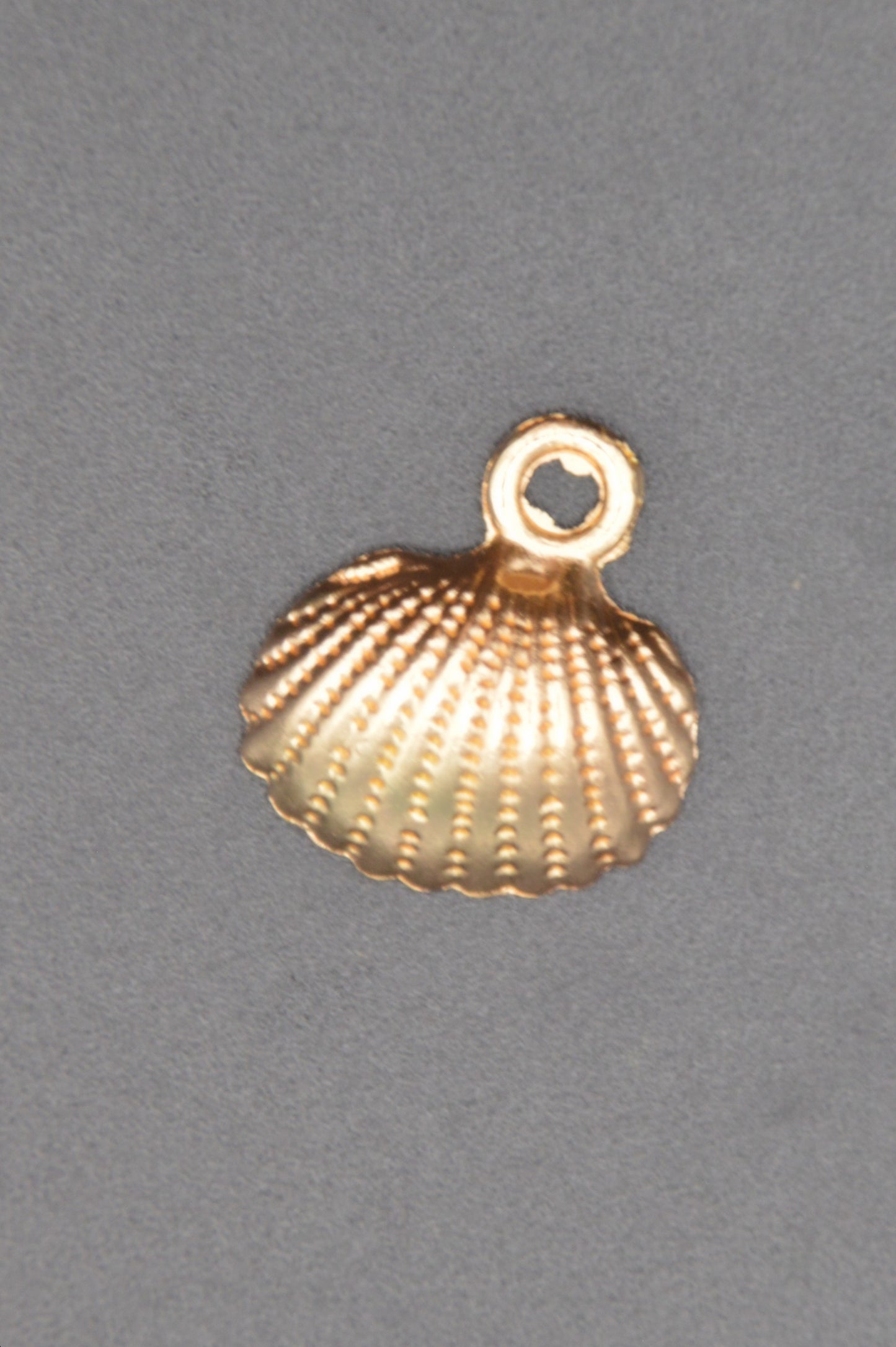 Seashell Charms