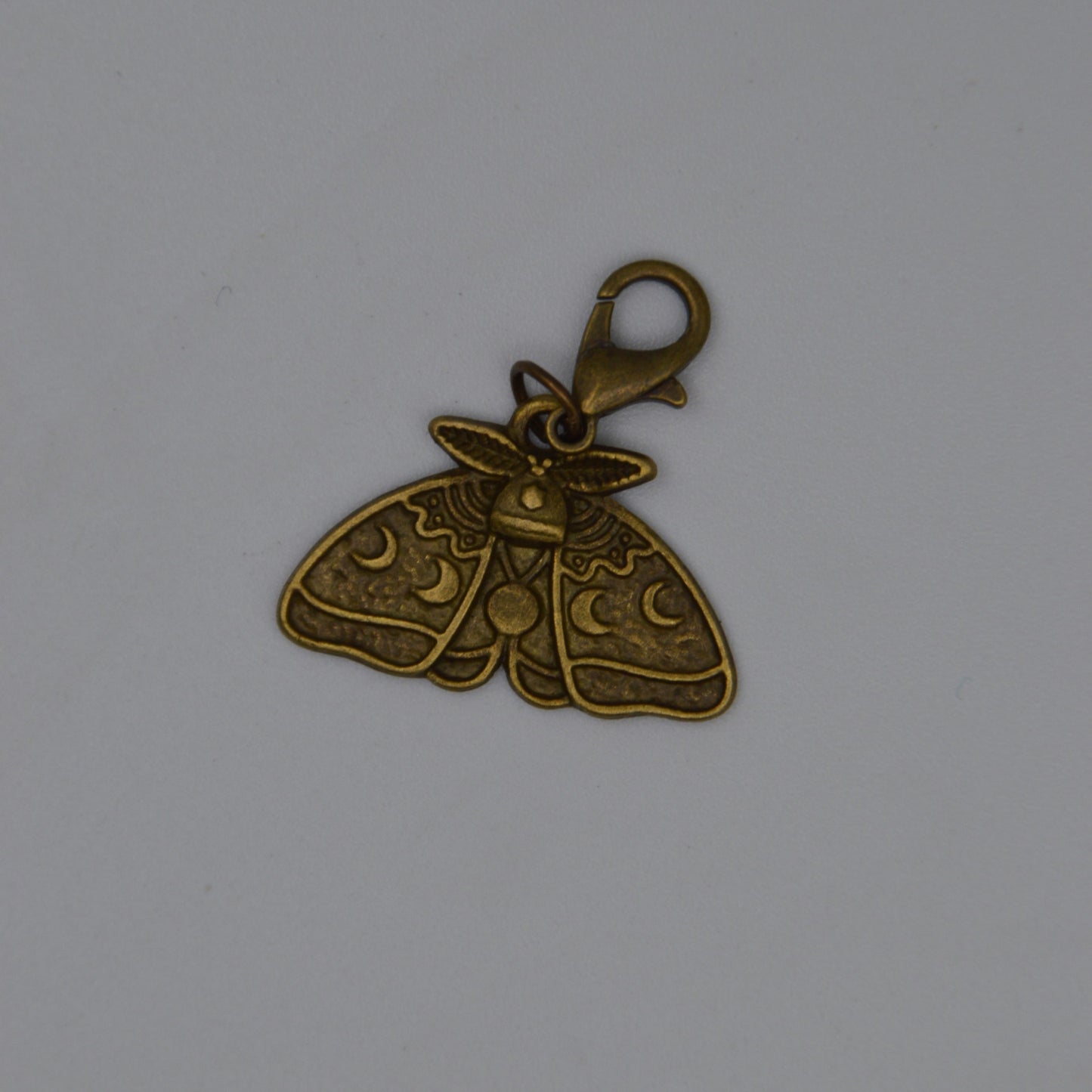 Moth