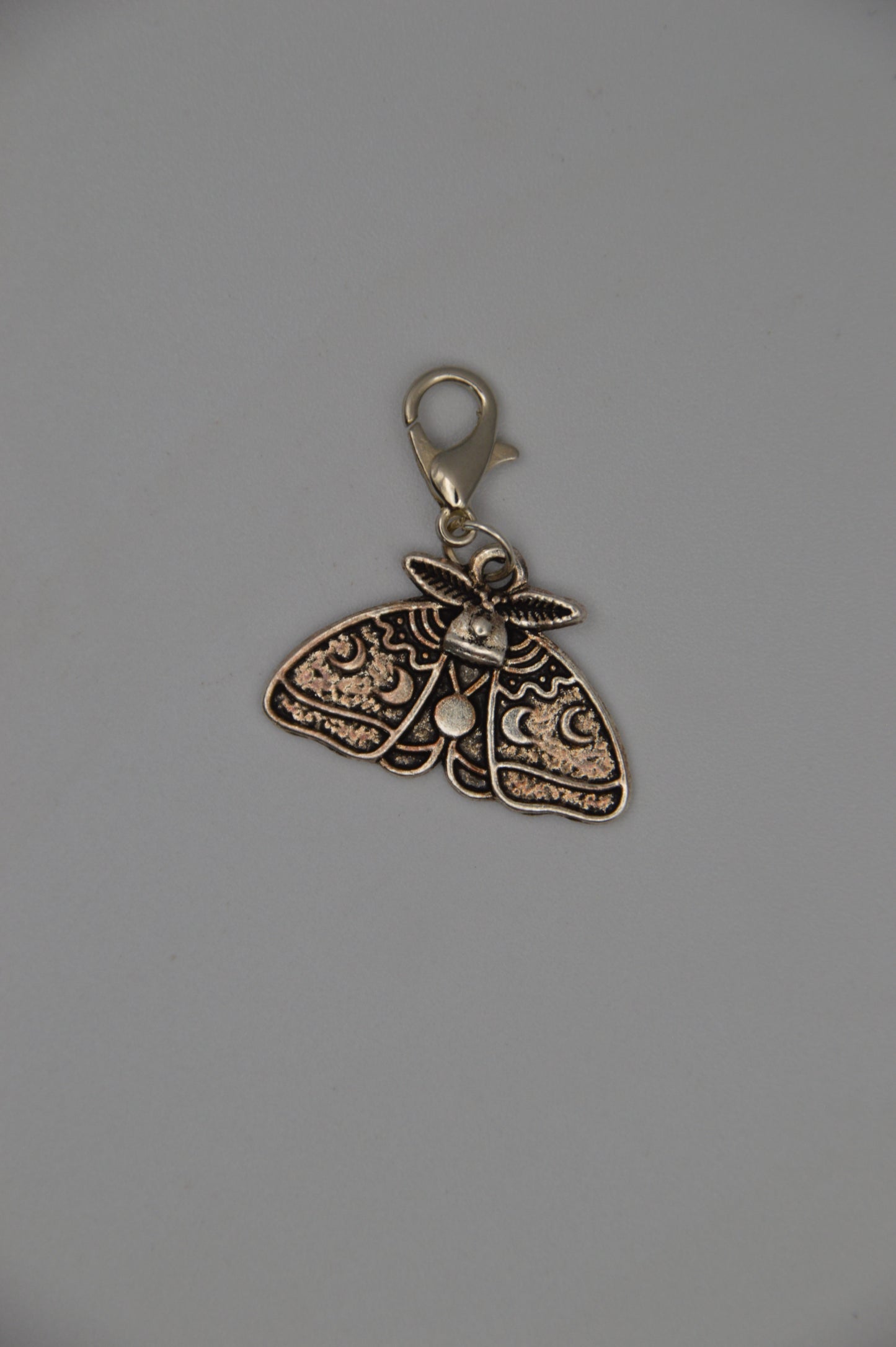 Moth