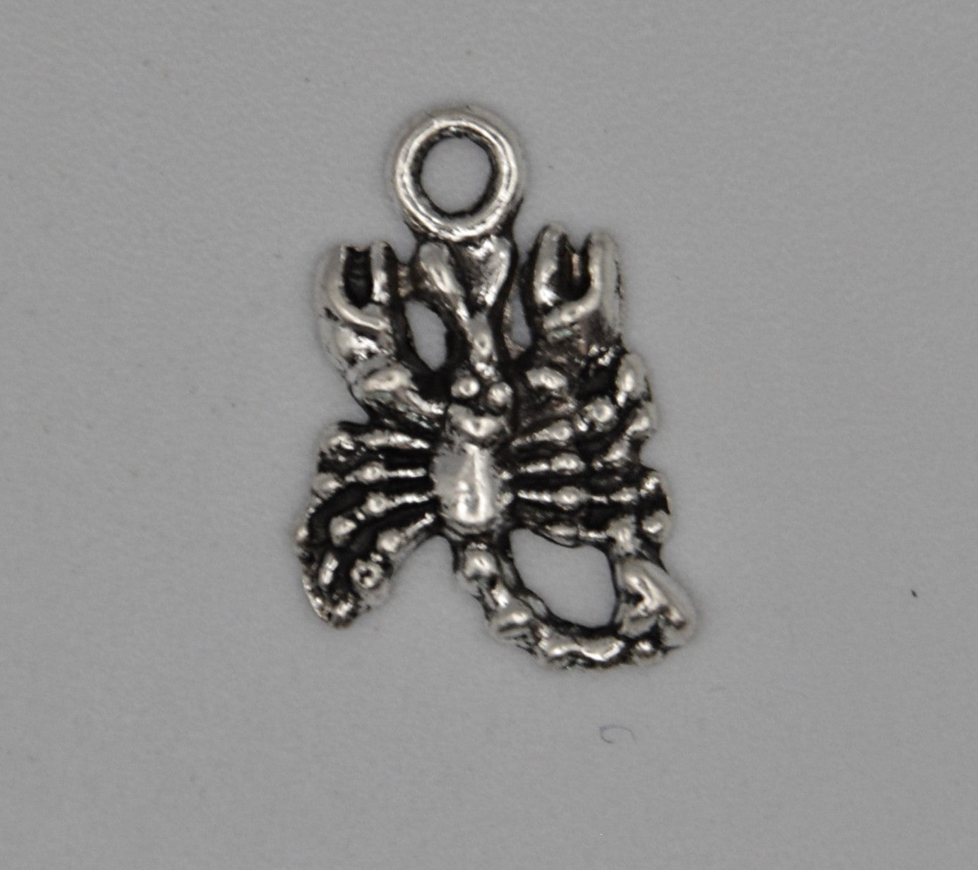 Scorpion Charm