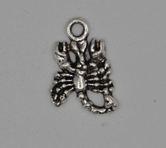 Scorpion Charm