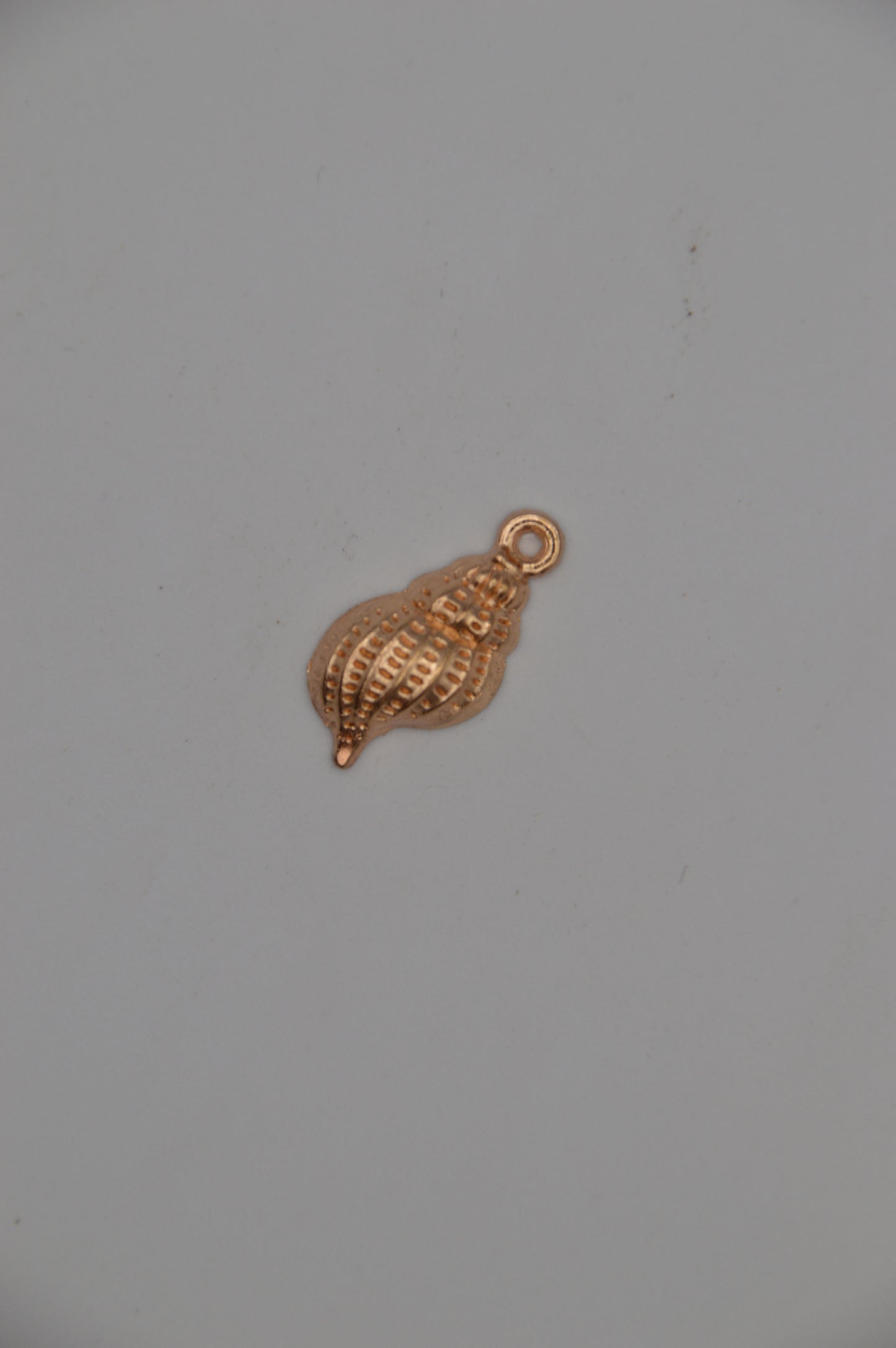 Seashell Charms