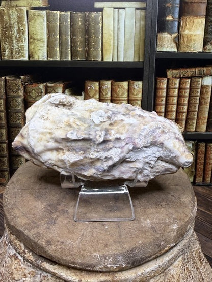 Sienna | Handcrafted Oyster Shell Jewelry Dish